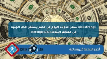 <p><strong>سعر الدولار اليوم في مصر يستقر أمام الجنيه في معظم البنوك</strong></p>